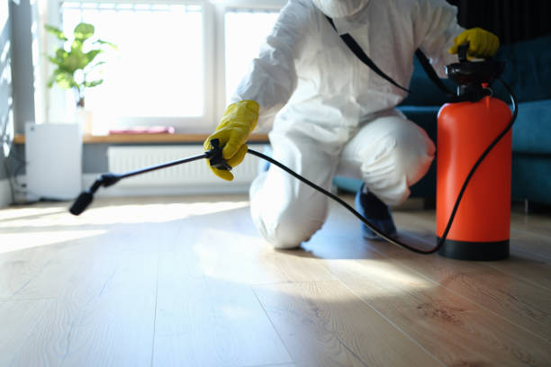 Flea Control Services in West Columbia, SC