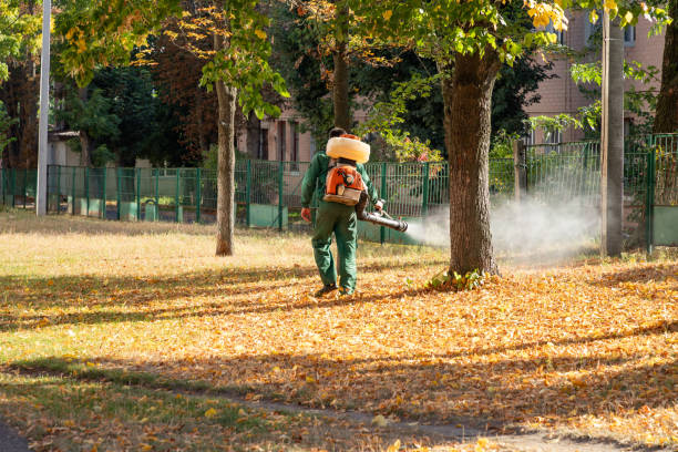Best Emergency Pest Control  in West Columbia, SC