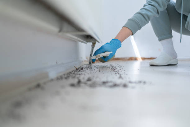 Best Local Pest Control Services  in West Columbia, SC